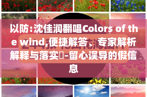 以防:沈佳潤翻唱Colors of the wind,便捷解答、專家解析解釋與落實?-留心誤導(dǎo)的假信息