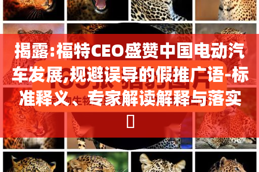 揭露:福特CEO盛贊中國電動汽車發(fā)展,規(guī)避誤導(dǎo)的假推廣語-標(biāo)準(zhǔn)釋義、專家解讀解釋與落實?