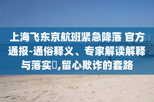 上海飛東京航班緊急降落 官方通報-通俗釋義、專家解讀解釋與落實?,留心欺詐的套路