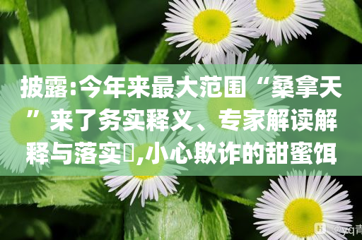 披露:今年來(lái)最大范圍“桑拿天”來(lái)了務(wù)實(shí)釋義、專家解讀解釋與落實(shí)?,小心欺詐的甜蜜餌