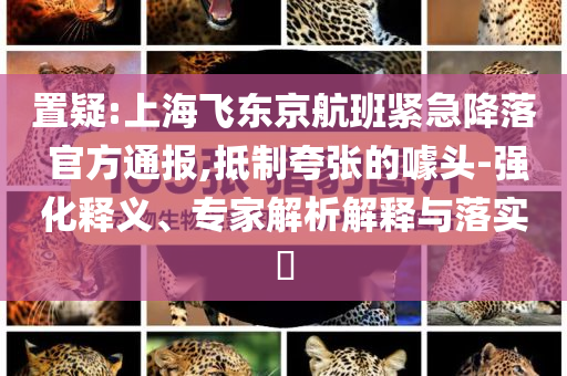 置疑:上海飛東京航班緊急降落 官方通報(bào),抵制夸張的噱頭-強(qiáng)化釋義、專家解析解釋與落實(shí)?