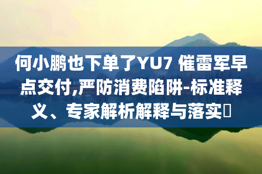 何小鵬也下單了YU7 催雷軍早點交付,嚴防消費陷阱-標準釋義、專家解析解釋與落實?