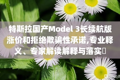特斯拉國產(chǎn)Model 3長續(xù)航版漲價和拒絕欺騙性承諾,專業(yè)釋義、專家解讀解釋與落實?
