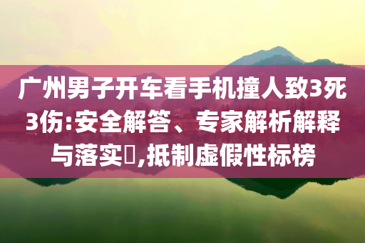 廣州男子開車看手機撞人致3死3傷:安全解答、專家解析解釋與落實?,抵制虛假性標(biāo)榜