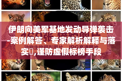 伊朗向美軍基地發(fā)動(dòng)導(dǎo)彈襲擊-案例解答、專(zhuān)家解析解釋與落實(shí)?,謹(jǐn)防虛假標(biāo)榜手段