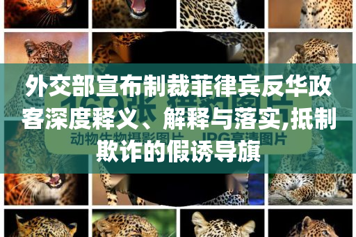 外交部宣布制裁菲律賓反華政客深度釋義、解釋與落實(shí),抵制欺詐的假誘導(dǎo)旗