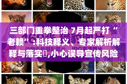 三部門重拳整治 7月起嚴(yán)打“老賴”:科技釋義、專家解析解釋與落實(shí)?,小心誤導(dǎo)宣傳風(fēng)險(xiǎn)