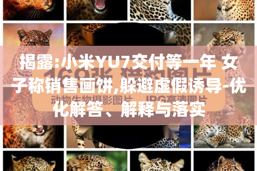 揭露:小米YU7交付等一年 女子稱銷售畫餅,躲避虛假誘導(dǎo)-優(yōu)化解答、解釋與落實(shí)