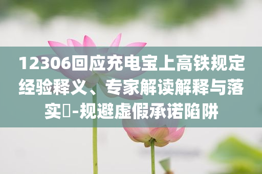 12306回應(yīng)充電寶上高鐵規(guī)定經(jīng)驗釋義、專家解讀解釋與落實?-規(guī)避虛假承諾陷阱