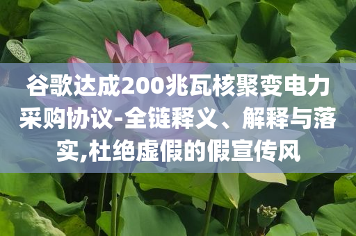 谷歌達成200兆瓦核聚變電力采購協(xié)議-全鏈釋義、解釋與落實,杜絕虛假的假宣傳風(fēng)