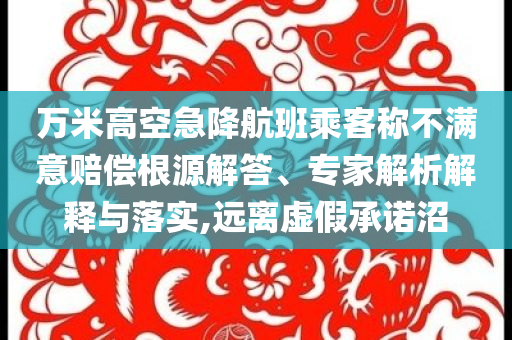 萬米高空急降航班乘客稱不滿意賠償根源解答、專家解析解釋與落實,遠(yuǎn)離虛假承諾沼