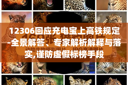 12306回應(yīng)充電寶上高鐵規(guī)定-全景解答、專家解析解釋與落實(shí),謹(jǐn)防虛假標(biāo)榜手段