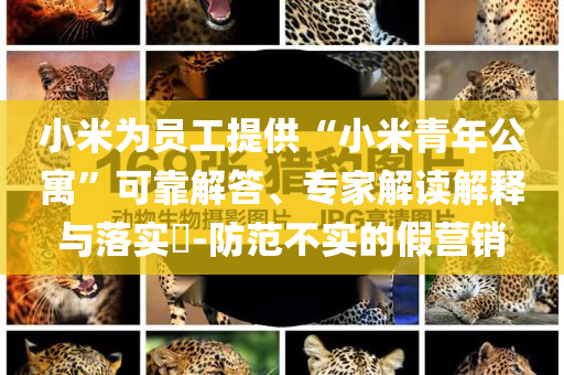 小米為員工提供“小米青年公寓”可靠解答、專家解讀解釋與落實(shí)?-防范不實(shí)的假營銷