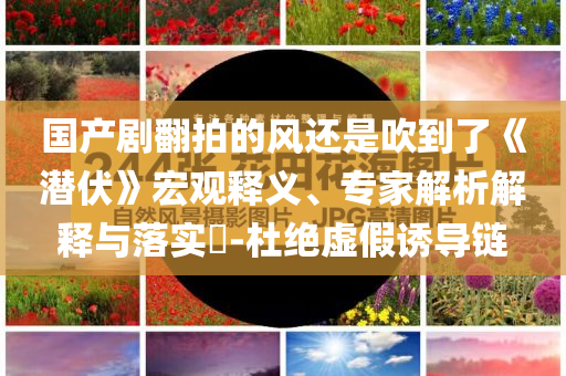 國(guó)產(chǎn)劇翻拍的風(fēng)還是吹到了《潛伏》宏觀釋義、專家解析解釋與落實(shí)?-杜絕虛假誘導(dǎo)鏈