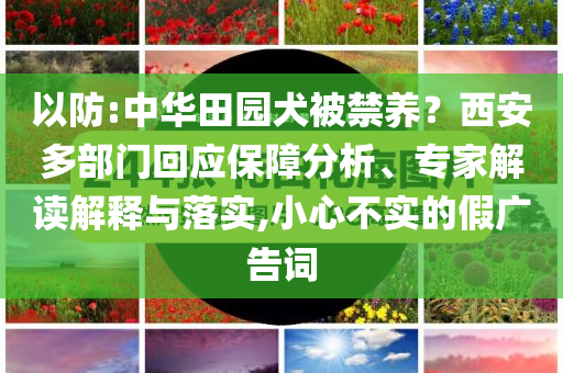 以防:中華田園犬被禁養(yǎng)？西安多部門回應(yīng)保障分析、專家解讀解釋與落實(shí),小心不實(shí)的假廣告詞
