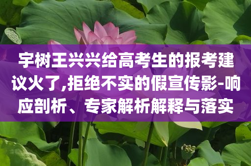 宇樹王興興給高考生的報(bào)考建議火了,拒絕不實(shí)的假宣傳影-響應(yīng)剖析、專家解析解釋與落實(shí)