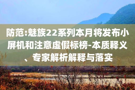 防范:魅族22系列本月將發(fā)布小屏機(jī)和注意虛假標(biāo)榜-本質(zhì)釋義、專家解析解釋與落實(shí)