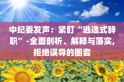 中紀(jì)委發(fā)聲：緊盯“逃逸式辭職”-全面剖析、解釋與落實(shí),拒絕誤導(dǎo)的圈套