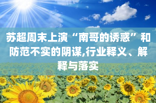 蘇超周末上演“南哥的誘惑”和防范不實(shí)的陰謀,行業(yè)釋義、解釋與落實(shí)