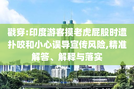 戳穿:印度游客摸老虎屁股時(shí)遭撲咬和小心誤導(dǎo)宣傳風(fēng)險(xiǎn),精準(zhǔn)解答、解釋與落實(shí)