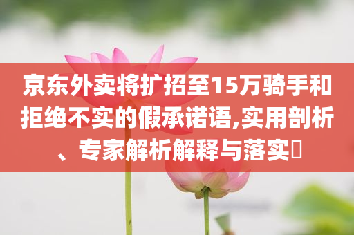 京東外賣將擴招至15萬騎手和拒絕不實的假承諾語,實用剖析、專家解析解釋與落實?