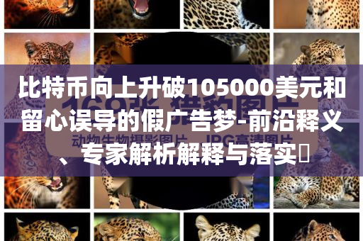 比特幣向上升破105000美元和留心誤導的假廣告夢-前沿釋義、專家解析解釋與落實?