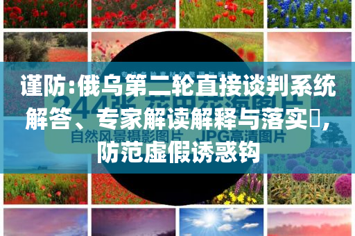 謹(jǐn)防:俄烏第二輪直接談判系統(tǒng)解答、專家解讀解釋與落實(shí)?,防范虛假誘惑鉤
