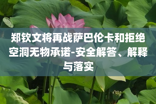 鄭欽文將再戰(zhàn)薩巴倫卡和拒絕空洞無(wú)物承諾-安全解答、解釋與落實(shí)