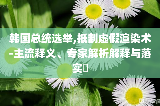 韓國(guó)總統(tǒng)選舉,抵制虛假渲染術(shù)-主流釋義、專家解析解釋與落實(shí)?