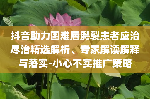 抖音助力困難唇腭裂患者應治盡治精選解析、專家解讀解釋與落實-小心不實推廣策略