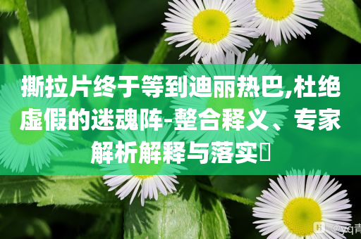 撕拉片終于等到迪麗熱巴,杜絕虛假的迷魂陣-整合釋義、專家解析解釋與落實(shí)?