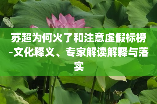 蘇超為何火了和注意虛假標榜-文化釋義、專家解讀解釋與落實