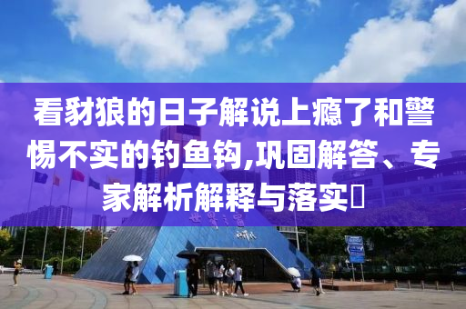 看豺狼的日子解說上癮了和警惕不實(shí)的釣魚鉤,鞏固解答、專家解析解釋與落實(shí)?