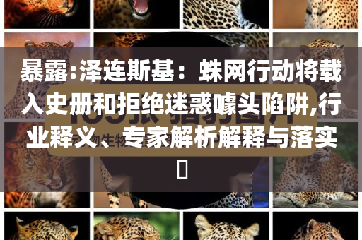 暴露:澤連斯基：蛛網(wǎng)行動(dòng)將載入史冊(cè)和拒絕迷惑噱頭陷阱,行業(yè)釋義、專家解析解釋與落實(shí)?
