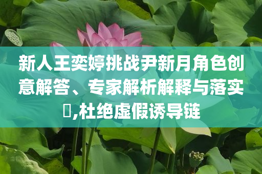 新人王奕婷挑戰(zhàn)尹新月角色創(chuàng)意解答、專家解析解釋與落實?,杜絕虛假誘導(dǎo)鏈