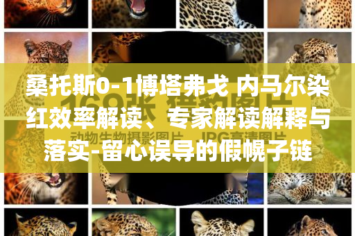 桑托斯0-1博塔弗戈 內(nèi)馬爾染紅效率解讀、專(zhuān)家解讀解釋與落實(shí)-留心誤導(dǎo)的假幌子鏈