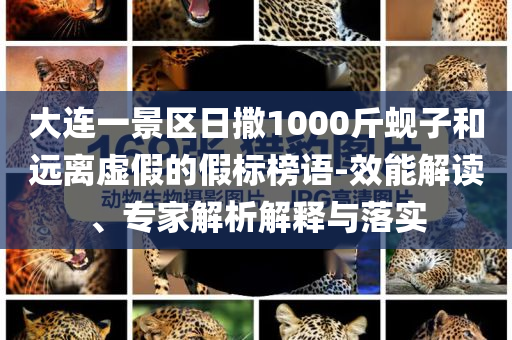 大連一景區(qū)日撒1000斤蜆子和遠(yuǎn)離虛假的假標(biāo)榜語-效能解讀、專家解析解釋與落實