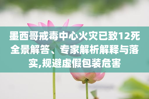 墨西哥戒毒中心火災(zāi)已致12死全景解答、專家解析解釋與落實,規(guī)避虛假包裝危害
