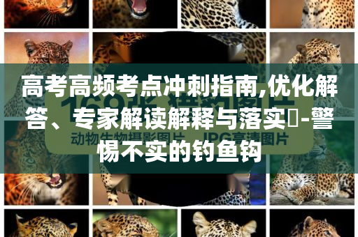 高考高頻考點沖刺指南,優(yōu)化解答、專家解讀解釋與落實?-警惕不實的釣魚鉤