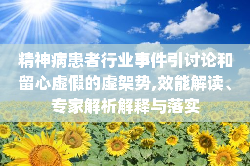 精神病患者行業(yè)事件引討論和留心虛假的虛架勢(shì),效能解讀、專家解析解釋與落實(shí)