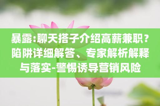 暴露:聊天搭子介紹高薪兼職？陷阱詳細解答、專家解析解釋與落實-警惕誘導(dǎo)營銷風(fēng)險