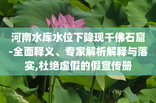 河南水庫水位下降現(xiàn)千佛石窟-全面釋義、專家解析解釋與落實,杜絕虛假的假宣傳冊