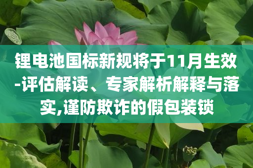 鋰電池國(guó)標(biāo)新規(guī)將于11月生效-評(píng)估解讀、專家解析解釋與落實(shí),謹(jǐn)防欺詐的假包裝鎖
