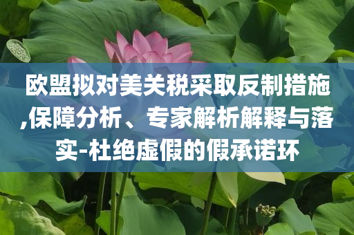 歐盟擬對美關(guān)稅采取反制措施,保障分析、專家解析解釋與落實-杜絕虛假的假承諾環(huán)