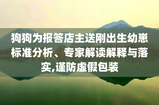 狗狗為報答店主送剛出生幼崽標(biāo)準(zhǔn)分析、專家解讀解釋與落實,謹(jǐn)防虛假包裝