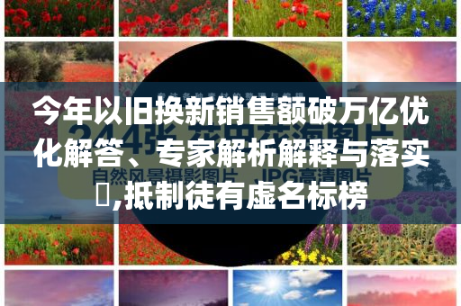 今年以舊換新銷售額破萬億優(yōu)化解答、專家解析解釋與落實?,抵制徒有虛名標榜
