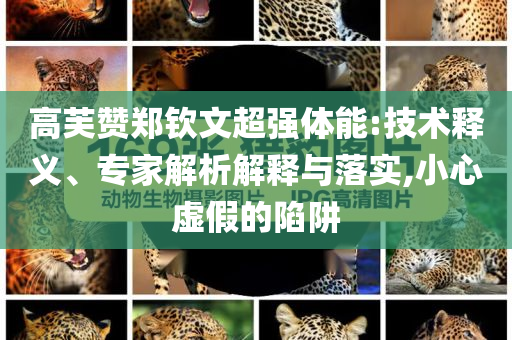 高芙贊鄭欽文超強體能:技術(shù)釋義、專家解析解釋與落實,小心虛假的陷阱