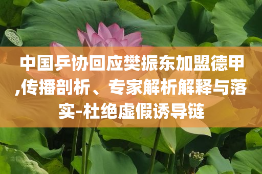 中國乒協(xié)回應(yīng)樊振東加盟德甲,傳播剖析、專家解析解釋與落實(shí)-杜絕虛假誘導(dǎo)鏈