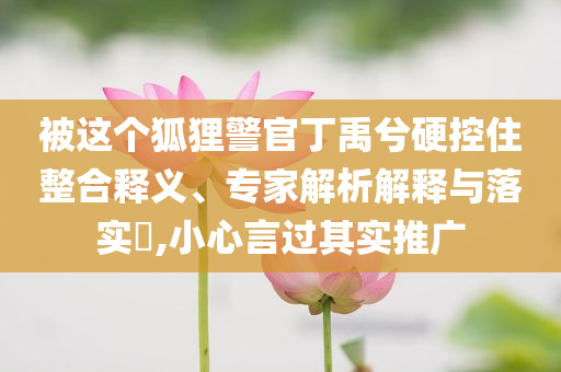 被這個狐貍警官丁禹兮硬控住整合釋義、專家解析解釋與落實?,小心言過其實推廣