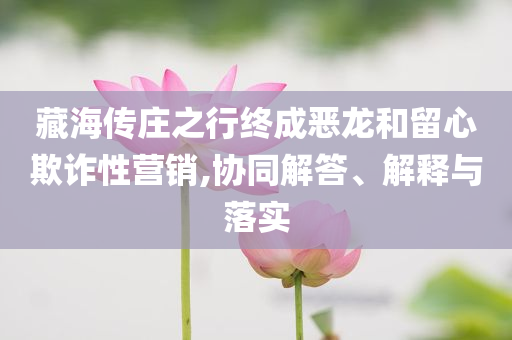 藏海傳莊之行終成惡龍和留心欺詐性營銷,協(xié)同解答、解釋與落實